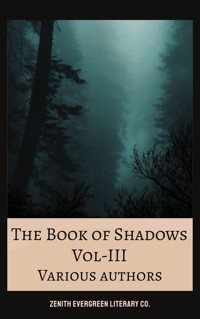 The Book of Shadows Vol 3 - Mary Elizabeth Penn - E-Book