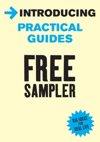 Introducing Practical Guides - Alison Price - E-Book
