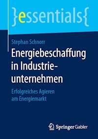Energiebeschaffung in Industrieunternehmen - Stephan Schnorr - E-Book