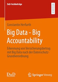 Big Data - Big Accountability - Constantin Herfurth - E-Book