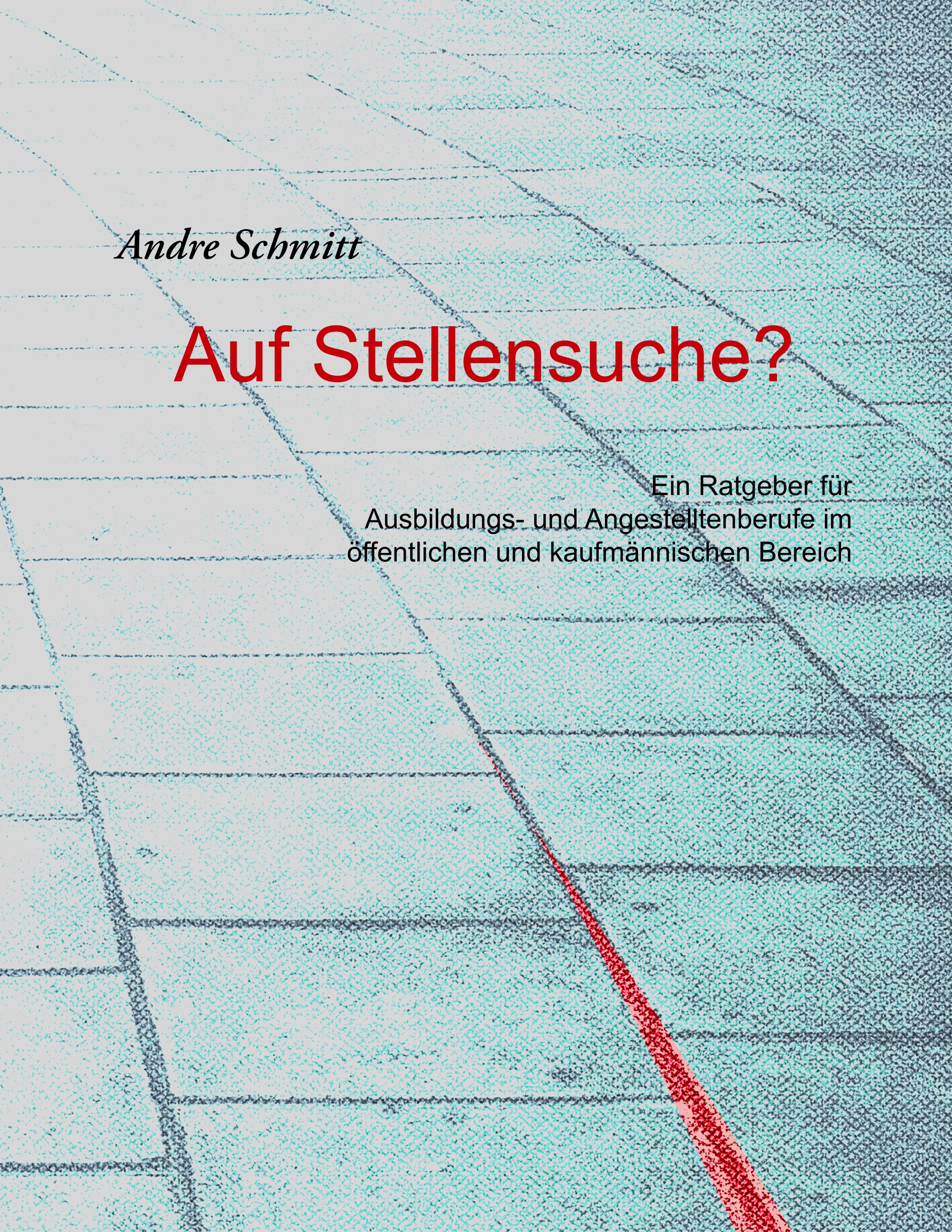 Auf Stellensuche? - Andre Schmitt - E-Book