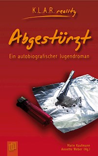 Abgestürzt - Marie Kaufmann - E-Book