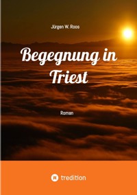 Begegnung in Triest - Ein spannender Politthriller - Jürgen W. Roos - E-Book