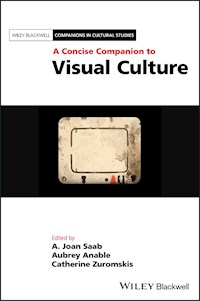 A Concise Companion to Visual Culture - Aubrey Anable - E-Book