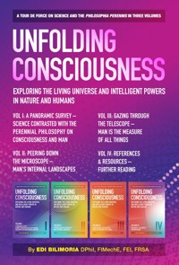 Unfolding Consciousness - Edi Bilimoria - E-Book