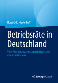 Betriebsräte in Deutschland - Horst-Udo Niedenhoff - E-Book