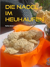 Die Nadel im Heuhaufen - Marlies Barbara Lenz - E-Book