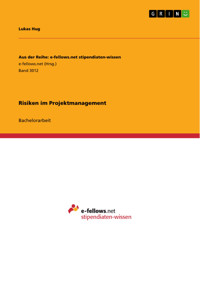 Risiken im Projektmanagement - Lukas Hug - E-Book