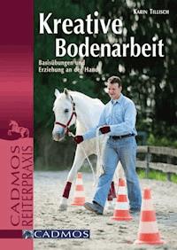 Kreative Bodenarbeit - Karin Tillisch - E-Book