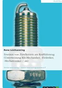Ersetzen von Zündkerzen am Kraftfahrzeug (Unterweisung Kfz-Mechaniker, -Elektriker, -Mechatroniker / -in) - Rene Leichsenring - E-Book