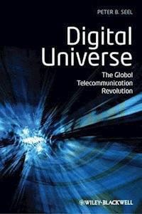 Digital Universe - Peter B. Seel - E-Book