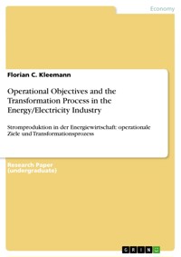Operational Objectives and the Transformation Process in the Energy/Electricity Industry - Florian C. Kleemann - E-Book
