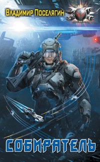 Собиратель - Владимир Поселягин - E-Book
