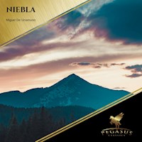 Niebla - Miguel de Unamuno - Hörbuch