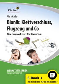 Bionik: Klettverschluss, Flugzeug und Co - Mara Hasler - E-Book