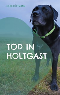 Tod in Holtgast - Silke Lüttmann - E-Book