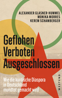 Geflohen. Verboten. Ausgeschlossen - Alexander Glasner-Hummel - E-Book