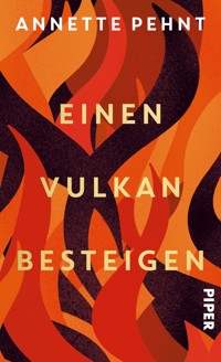 Einen Vulkan besteigen - Annette Pehnt - E-Book