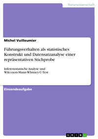 Führungsverhalten als statistisches Konstrukt und Datensatzanalyse einer repräsentativen Stichprobe - Michel Vuilleumier - E-Book