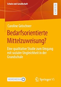 Bedarfsorientierte Mittelzuweisung? - Caroline Gröschner - E-Book