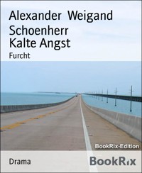 Kalte Angst - Alexander Weigand Schoenherr - kostenlos E-Book