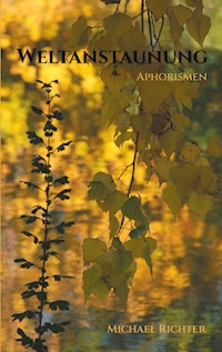 Weltanstaunung - Michael Richter - E-Book