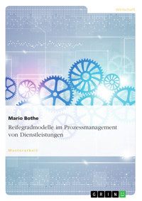 Reifegradmodelle im Prozessmanagement von Dienstleistungen - Mario Bothe - E-Book