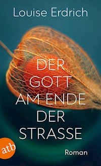 Der Gott am Ende der Straße - Louise Erdrich - E-Book