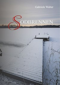 Sodbrennen - Gabriele Walter - E-Book
