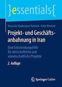 Projekt- und Geschäftsanbahnung in Iran - Natascha Bagherpour Kashani - E-Book