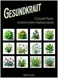 Gesundkraut - Martin Luntig - E-Book