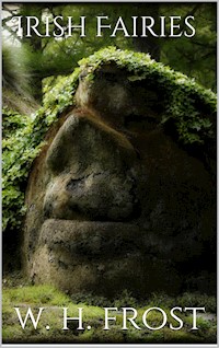 Irish Fairies - William Henry Frost - E-Book