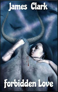 Forbidden love - James Clark - E-Book
