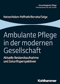 Ambulante Pflege in der modernen Gesellschaft - Manfred Borutta - E-Book