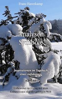 Analysen Symbole 6209-12 - Franz Haverkamp - E-Book