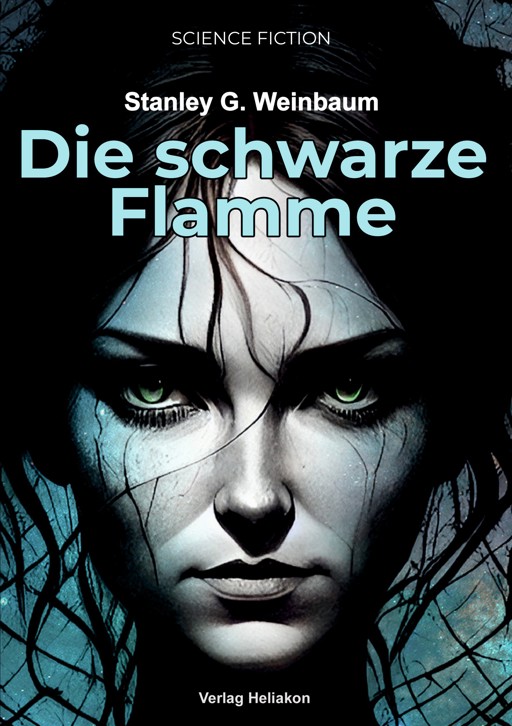 schwarzes Flammenlogo