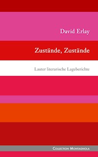 Zustände, Zustände - David Erlay - E-Book