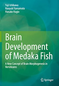 Brain Development of Medaka Fish - Yuji Ishikawa - E-Book