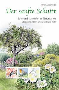 Der sanfte Schnitt - Ulrike Aufderheide - E-Book