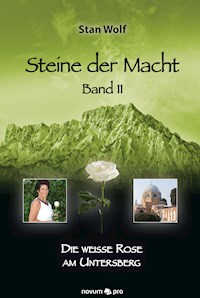 Steine der Macht – Band 11 - Stan Wolf - E-Book