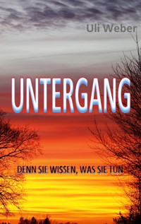 Untergang - Uli Weber - E-Book