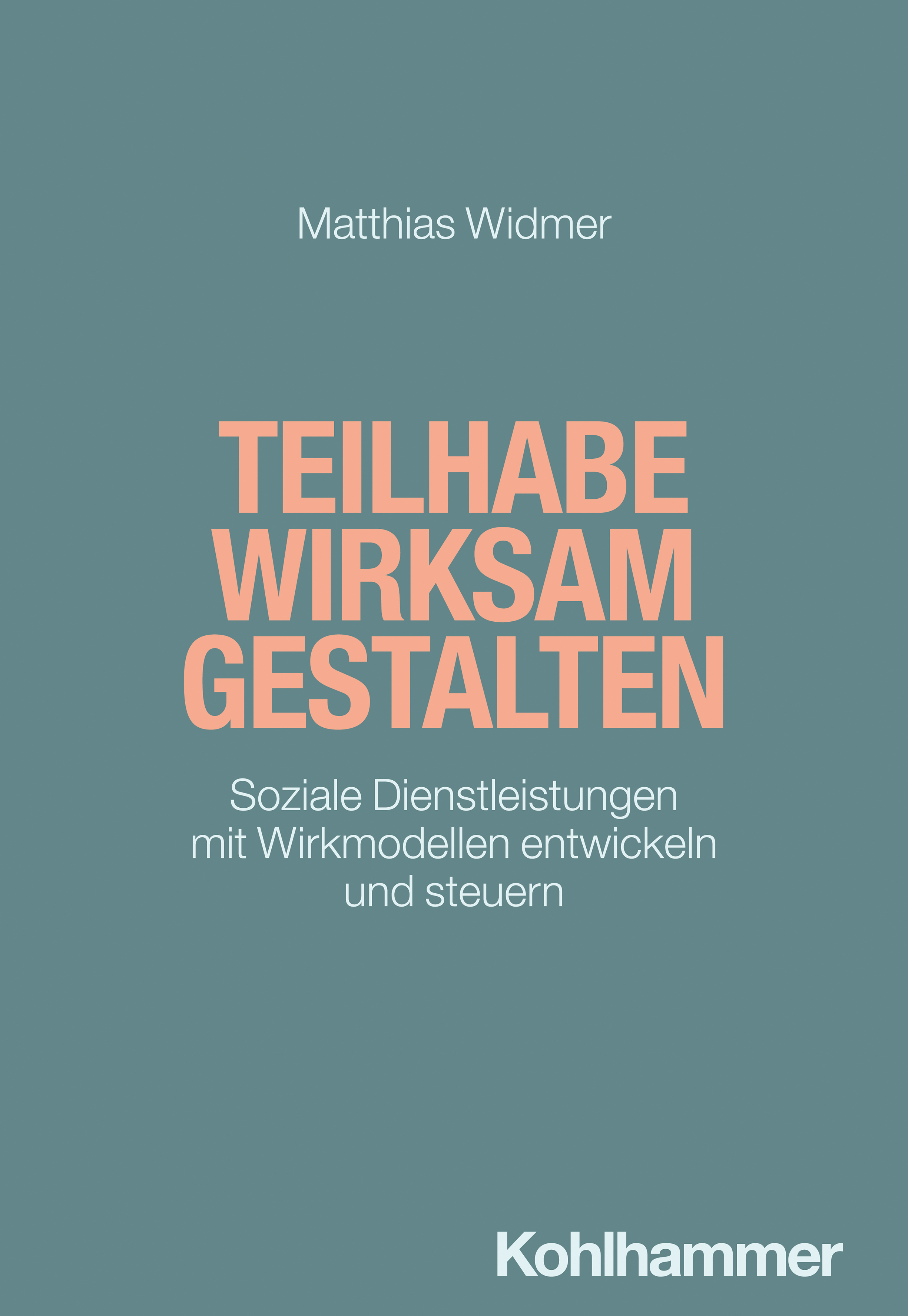 Teilhabe wirksam gestalten - Matthias Widmer - E-Book