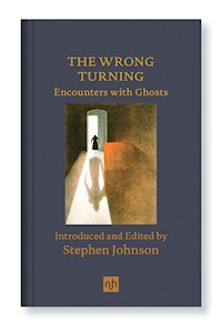 THE WRONG TURNING - Stephen Johnson - E-Book