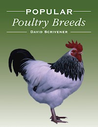 Popular Poultry Breeds - David Scrivener - E-Book