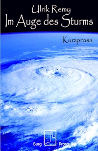 Im Auge des Sturms - Ulrik Remy - E-Book