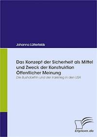Das Konzept der Sicherheit als Mittel und Zweck der Konstruktion Öffentlicher Meinung - Johanna Lütterfelds - E-Book