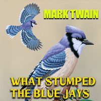 What Stumped the Blue Jays - Mark Twain - Hörbuch