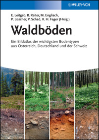 Waldböden -  - E-Book