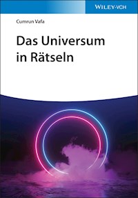 Das Universum in Rätseln - Cumrun Vafa - E-Book