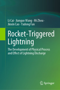 Rocket-Triggered Lightning - Li Cai - E-Book